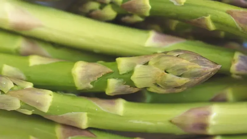 Close view of fresh asparagus spears with tightly closed, pointed tips and smooth green stalks