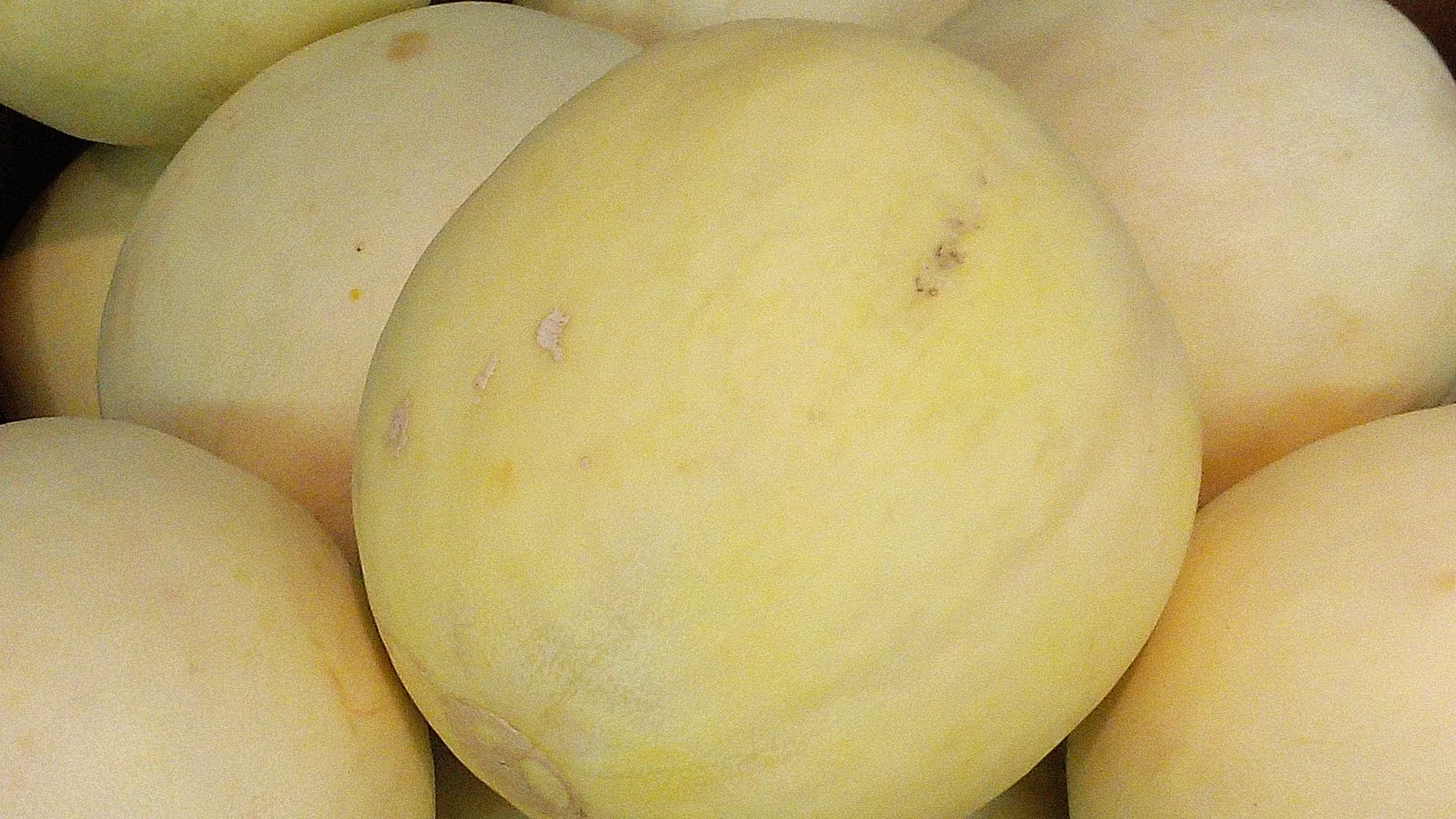 Smooth honeydew melons in a crate, the front one with a creamy yellow rind and a faint waxy sheen