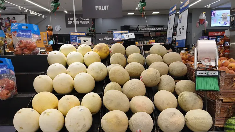 Smooth pale honeydew melons stacked beside netted cantaloupes in a grocery store fruit display