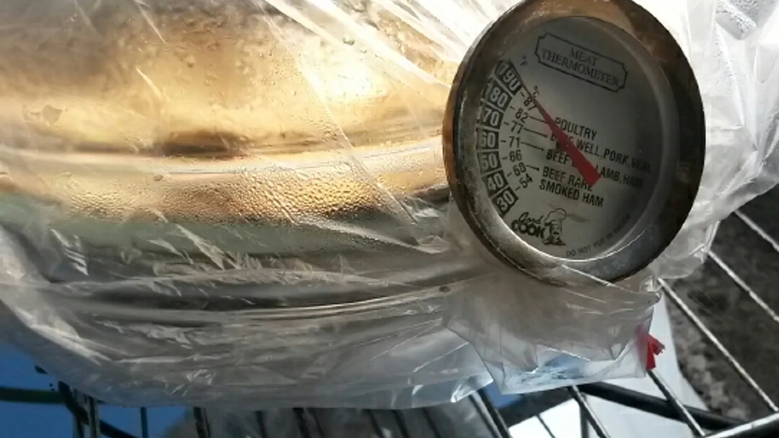 A meat thermometer probe pushed into cooked meat during a food safety check