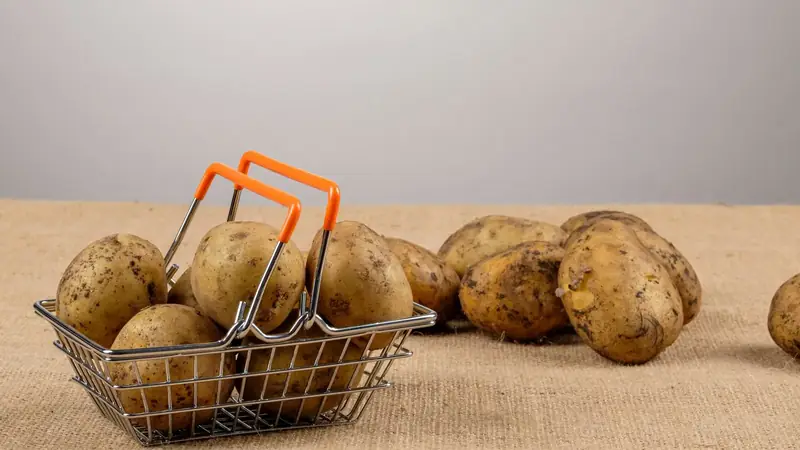 Whole brown russet potatoes piled in a gray wire basket at a store