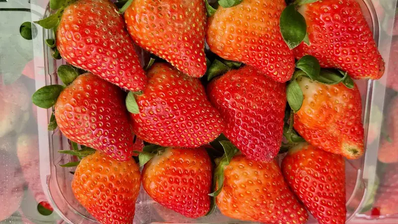 Ripe strawberries with green caps packed in a clear plastic clamshell