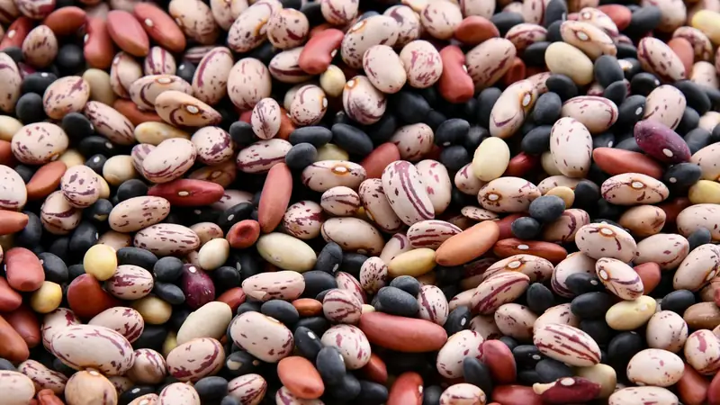 Assorted colorful dried beans piled together, including red, white and speckled varieties