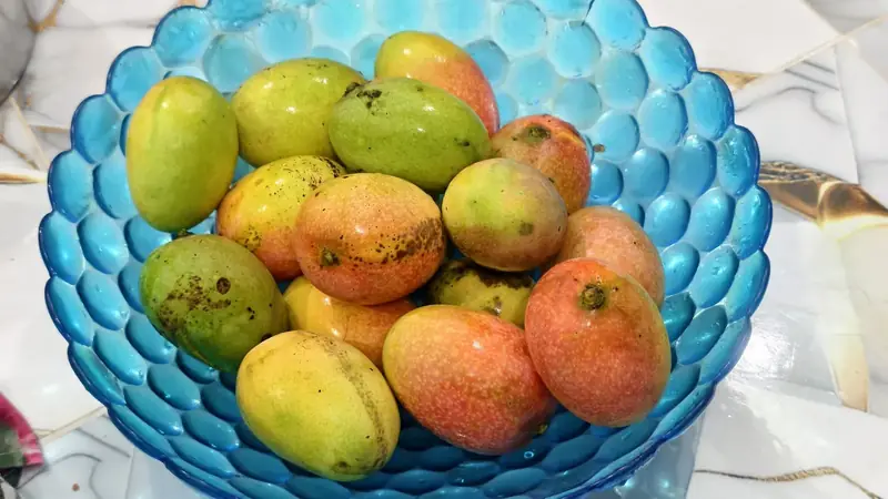 Blue glass bowl of mangoes in green, yellow and red, some with dark freckles