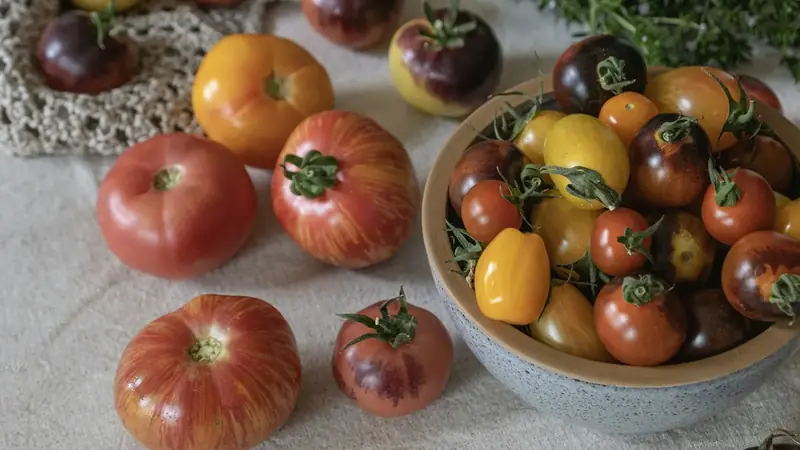 Red, yellow and orange tomatoes of different sizes laid out on a table