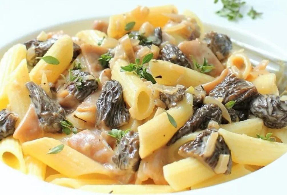 Morel Mushroom Pasta Recipe